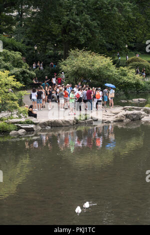 Gruppo di tour visita il laghetto di Central Park, New York, Stati Uniti d'America Foto Stock