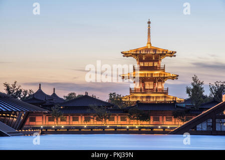 Shanghai songjiang ricca di siti di foresta Foto Stock