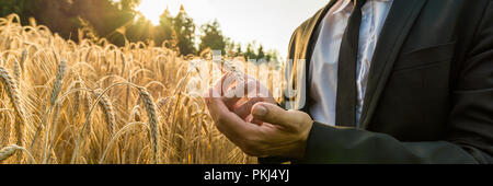Ampia vista immagine di un imprenditore cupping maturi una spiga di grano tenendolo nella parte anteriore del Fiery orb del sol levante in una immagine concettuale del business Foto Stock