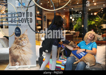 Battersea cani da salvataggio sentirsi a casa nelle finestre di Tottenham Court Road il flagship store di provenienza. L'animale la carità è il lavoro con i rivenditori di mobili per mostrare che i suoi cani sono pronti per essere amato. Stampa foto di associazione. Picture Data: giovedì 13 settembre, 2018. Foto di credito dovrebbe leggere: Isabel Infantes/PA FILO Foto Stock