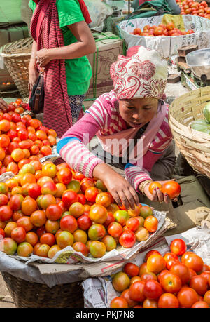 Le donne di pomodori di vendita nel mercato all'aperto, Shillong, Meghalaya, India Foto Stock