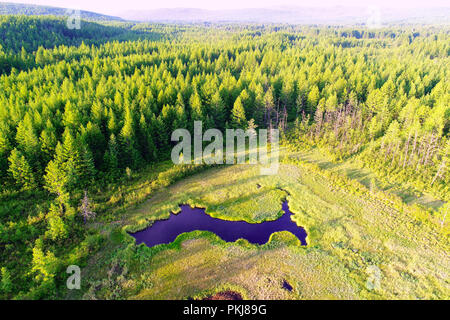 La maggior hinggan montagne nella provincia di Heilongjiang Foto Stock