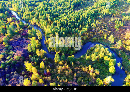 La maggior hinggan montagne nella provincia di Heilongjiang Foto Stock