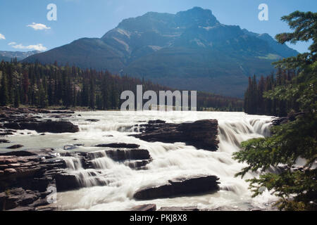 Cascate Athabasca, Jasper, Alberta, Canada Foto Stock