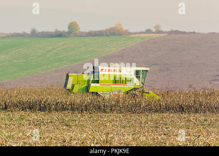 Shyroke, Ucraina - Nov 11, 2015: harvester nel campo elimina la stocchi mais nel tardo autunno haze giorno Foto Stock