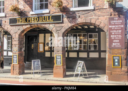 Chester, Inghilterra - 16 agosto 2016: The Pied Bull case pubbliche. Il pub si trova su Northgate Street. Foto Stock