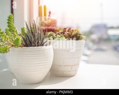 Belle piante in vaso e argilla espansa su tavolo di legno a casa. Hobby  coinvolgente Foto stock - Alamy