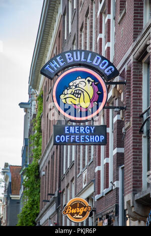 Amsterdam, Paesi Bassi - 7 Luglio 2018: il famoso il caffè Bulldog nella città di Amsterdam, Paesi Bassi Foto Stock