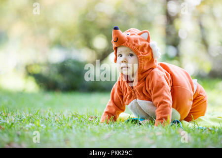 Carino bambina vestito in costume fox strisciando sul verde del prato in posizione di parcheggio Foto Stock