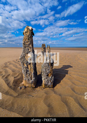 La riserva naturale RSPB e la spiaggia di Titchwell Marsh Norfolk Foto Stock