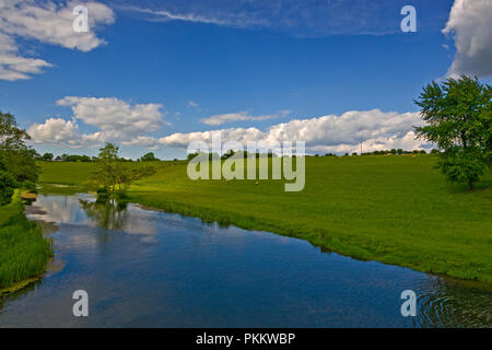 Distante pecore al pascolo sulle rive del fiume Funshion, Glanworth, County Cork, Irlanda Foto Stock