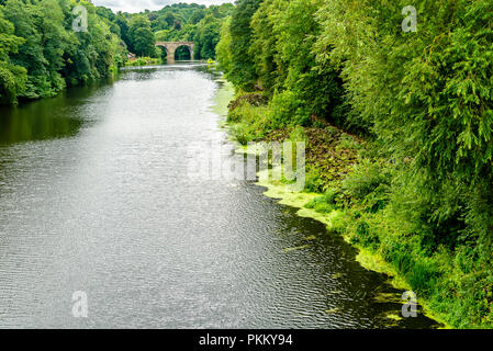 Vista dalla valle di Prebends Bridge, uno dei tre-pietra ponti ad arco in Durham, Regno Unito Foto Stock