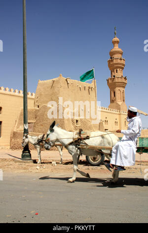 Carrello asino davanti ad una moschea di Siwa, Oasi di Siwa, Egitto Foto Stock