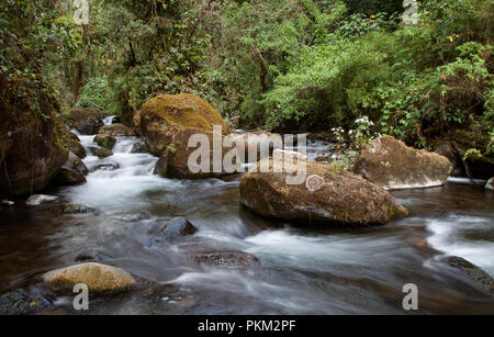 Il fiume Savegre fotografato a San Gerardo de Dota, Costa Rica Foto Stock