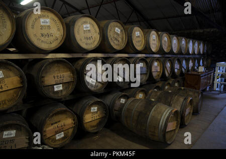 In botti di rovere di whisky in magazzino, Islay, Scotland, Regno Unito Foto Stock