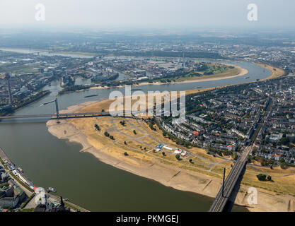 Vista aerea, Rheinwiesen Oberkassel, bassa marea sul Reno, siccità, aridità, Reno, Rheinkniebrücke, Düsseldorf, Renania Foto Stock