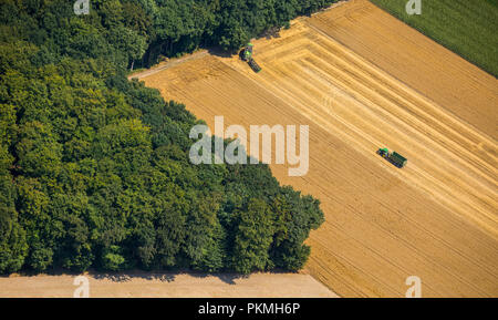 Vista aerea, raccolto in Uphusen con il trattore sul raccolto sul campo di mais, Haltern am See, la zona della Ruhr, Renania settentrionale-Vestfalia Foto Stock