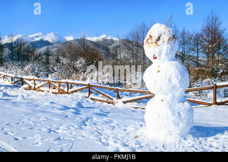 Viaggio rurale invernale paesaggio delle Montagne Vista panoramica, pupazzo di neve e la recinzione con neve Foto Stock