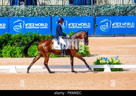 Lauren Kieffer Vermiculus di equitazione. Stati Uniti d'America. Eventing dressage. Il giorno 3. Giochi equestri mondiali. WEG 2018 Tryon. Carolina del Nord. Stati Uniti d'America. 13/09/2018. Foto Stock