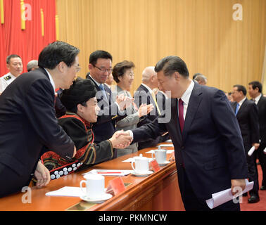 Pechino, Cina. Xiv Sep, 2018. Il presidente cinese Xi Jinping, anche segretario generale del Partito Comunista della Cina (CPC) Comitato Centrale e Presidente della Commissione militare centrale, scuote le mani con i delegati per il settimo Congresso nazionale della Cina Disabili' Federation a Pechino Capitale della Cina, il 7 settembre 14, 2018. Il congresso ha aperto a Pechino venerdì. Credito: Li Xueren/Xinhua/Alamy Live News Foto Stock