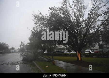 Wilmington, Stati Uniti d'America. Xiv Sep, 2018. Un albero è rotto in una forte tempesta come uragano Firenze arriva a terra in Wilmington, Carolina del Nord, gli Stati Uniti e il 7 settembre 14, 2018. L'uragano Florence il venerdì mattina fatto approdo nella Carolina del Nord e costa come Categoria 1 tempesta, con tempeste e piogge. Credito: Liu Jie/Xinhua/Alamy Live News Foto Stock