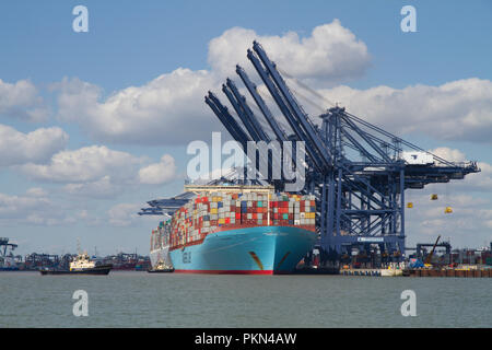 Un contenitore grande nave la Eugen Maersk docking al porto di Felixstowe essendo assistito da due barche rimorchiatore. Foto Stock