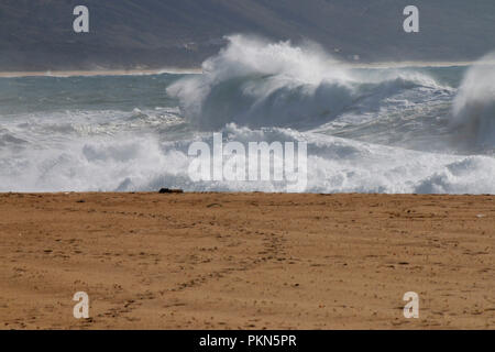 In Wellen, Belgium.Wellen am Nordstrand von nazare, Portogallo. Foto Stock