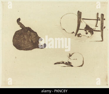 I gatti (Les chat). Data: 1869. Medio: l'attacco. Museo: National Gallery of Art di Washington DC. Autore: Edouard Manet. Foto Stock