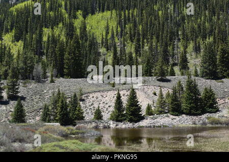 Rientrano in Colorado Foto Stock