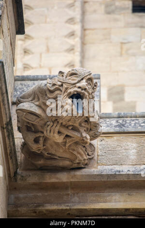 Dettaglio di un Gargoyle sulla cattedrale di Gloucester. Inghilterra Foto Stock