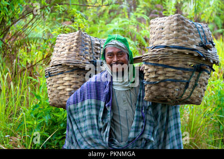 Il contadino, Java, Indonesia Foto Stock