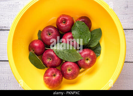 Pochi wet mature mele rosse con foglie verdi in brillante rotondo plastica gialla una bacinella coperti da gocce di acqua e posto su bianco vecchio tavolo in legno. Visualizzare fr Foto Stock