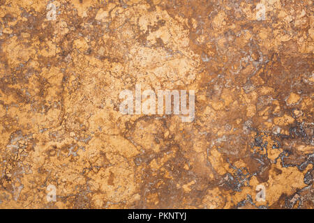 Costoso texture in travertino per il tuo elegante interno. Foto Stock