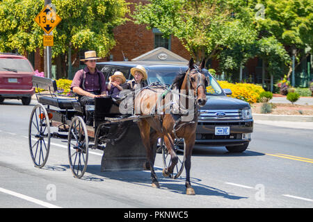 Bird-in-canto, PA, Stati Uniti d'America - 24 Luglio 2015: Un uomo Amish in un vagone tirato da cavalli con due giovani ragazzi rigidi sulla vecchia Philadelphia luccio in Lancaster County Foto Stock