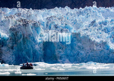 Ecotourists visitare un ghiacciaio tidewater nel sud-est dell Alaska e la testimonianza di un enorme evento parto al sud Sawyer Glacier in Tracy Arm Foto Stock