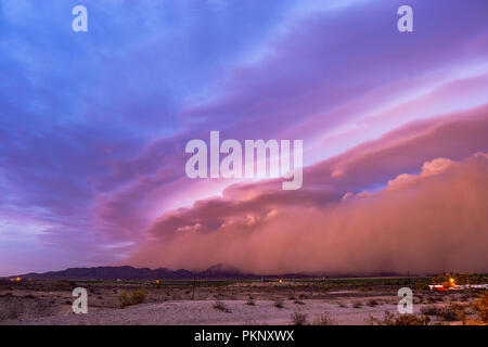 Una tempesta di polvere di Haboob nel deserto con una suggestiva nube di scaffale (arcus) al tramonto vicino a Dome Valley, Arizona, Stati Uniti Foto Stock