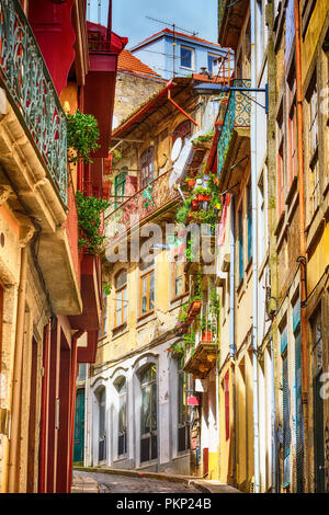 Porto, Portogallo città vecchia strada stretta vista prospettica con coloratissime case tradizionali Foto Stock