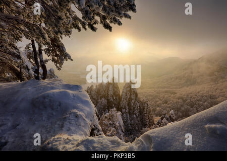 Beautiful Winter panorama landscape with snow covered trees Foto Stock