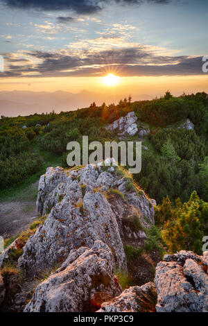 Valle di montagna durante il sunrise. Naturale paesaggio estivo in Slovacchia Foto Stock