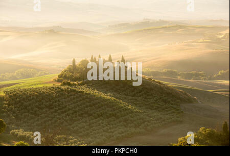 Foschia mattutina presso il famoso Podere Belvedere in Val d'Orcia in Toscana, Italia Europa UE Foto Stock