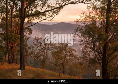 Sunrise con golden sky e la nebbia che giace nella valle sottostante foresta a Tooloom National Park, NSW Australia. Foto Stock