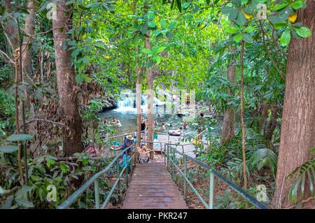 Berry Springs Waterhole, Berry Springs Riserva Naturale, Berry Springs Northern Territory, Australia Foto Stock