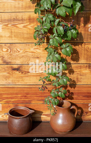 Vasi antichi e brocche d'acqua. Accessori per la casa dal secolo scorso impostato sul davanzale. Stagione di autunno. Foto Stock