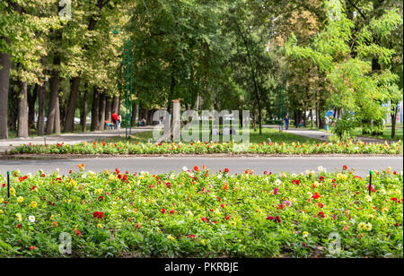 Le immagini dei parchi a Bishkek, la meravigliosa, walkable capitale del Kirghizistan. Foto Stock