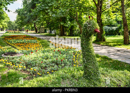 Immagini di Таттыбюбю ТурсунбаевойPanfilov Square a Bishkek, la meravigliosa, walkable capitale del Kirghizistan. Foto Stock