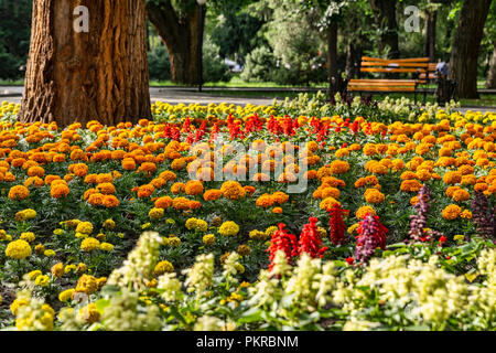 Immagini di Таттыбюбю ТурсунбаевойPanfilov Square a Bishkek, la meravigliosa, walkable capitale del Kirghizistan. Foto Stock