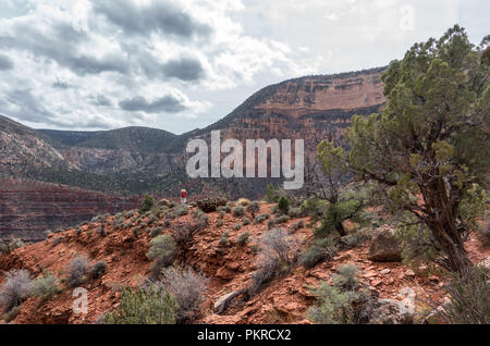 Un escursionista del Boucher Creek Trail nel Parco Nazionale del Grand Canyon Foto Stock