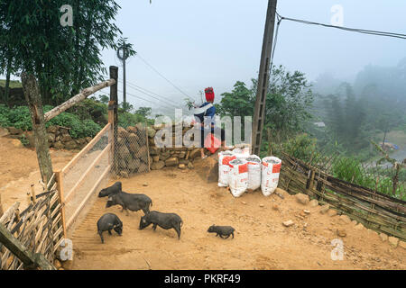 H'MONGS donna etnica in splendido costume tradizionale con scena di nebbia in Sa Pa town, Lao Cai provincia, Vietnam Foto Stock