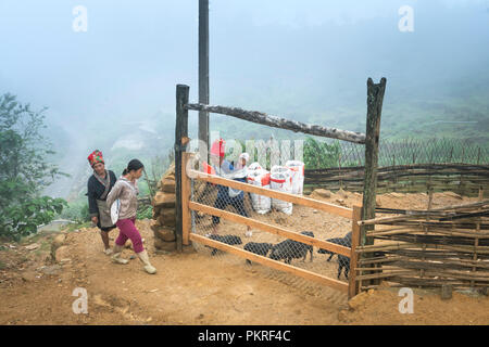 H'MONGS donna etnica in splendido costume tradizionale con scena di nebbia in Sa Pa town, Lao Cai provincia, Vietnam Foto Stock