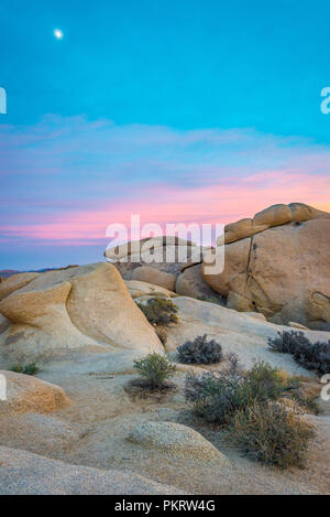 Tramonto su rocce di grandi dimensioni a Joshua Tree National Park, California, Stati Uniti d'America Foto Stock